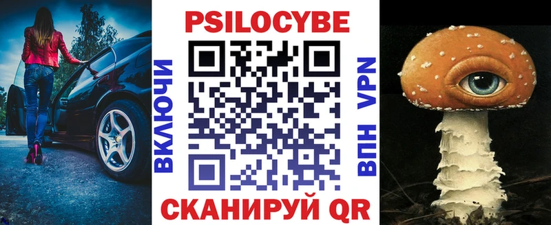 Псилоцибиновые грибы Psilocybe  ОМГ ОМГ зеркало  Ртищево  купить наркотики сайты 
